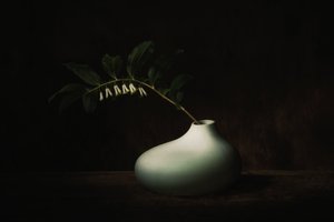  - Saskia Dingemans