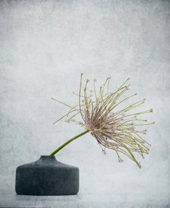  - Saskia Dingemans