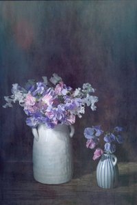  - Saskia Dingemans