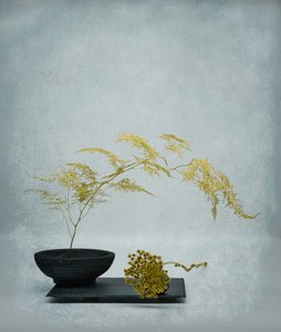  - Saskia Dingemans