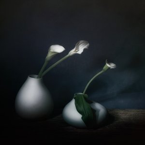  - Saskia Dingemans