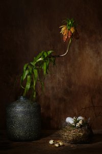  - Saskia Dingemans