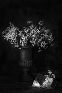  - Saskia Dingemans