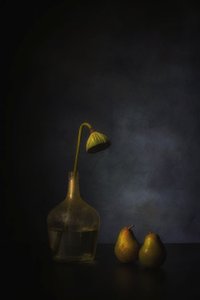  - Saskia Dingemans