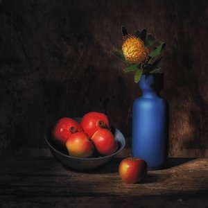  - Saskia Dingemans