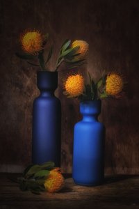  - Saskia Dingemans