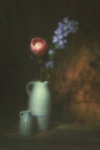  - Saskia Dingemans