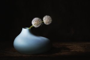  - Saskia Dingemans