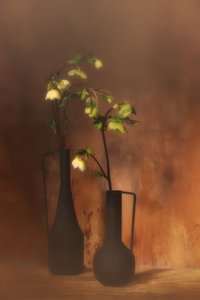  - Saskia Dingemans