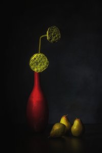  - Saskia Dingemans