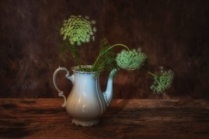  - Saskia Dingemans
