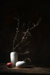  - Saskia Dingemans