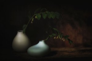  - Saskia Dingemans