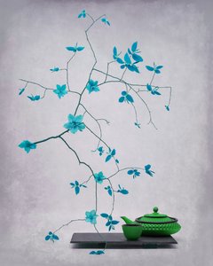  - Saskia Dingemans