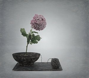  - Saskia Dingemans