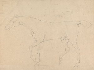 Un cheval - Sawrey Gilpin