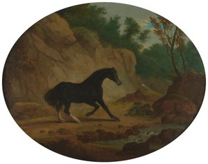 Un cheval effrayé par un serpent