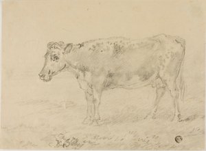 Vache - Sawrey Gilpin
