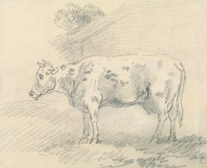 Vache - Sawrey Gilpin