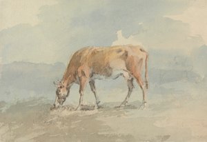 Vache broutant - Sawrey Gilpin