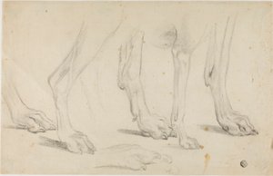 Pattes de chien - Sawrey Gilpin