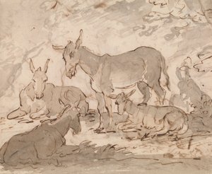 Ânes - Sawrey Gilpin