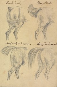 Quatre croquis de queues de cheval - Sawrey Gilpin