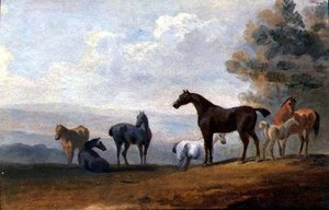 Chevaux
