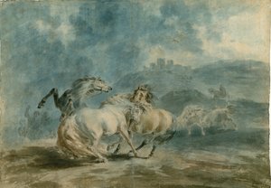 Chevaux se battant