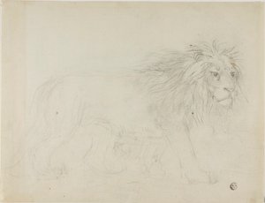 Lion - Sawrey Gilpin
