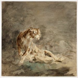 Lionne avec sa famille