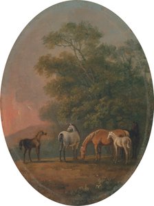 Juments et Poulains - Sawrey Gilpin