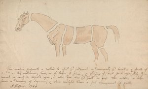 Parties du cheval bien proportionné - Sawrey Gilpin