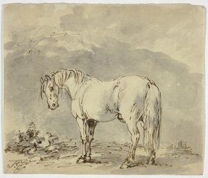 Cheval debout avec la tête tournée - Sawrey Gilpin