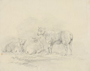 Trois moutons - Sawrey Gilpin