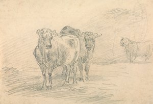 Deux vaches sur une colline
