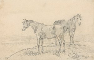 Deux chevaux - Sawrey Gilpin