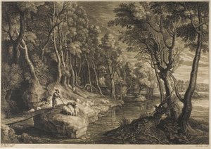 Forêt traversée par un ruisseau, de Les Petits Paysages