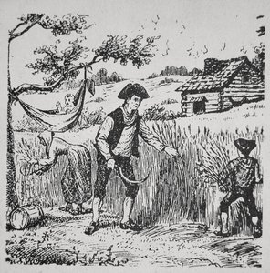 Une famille récoltant du maïs