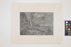 Paysage - School American
