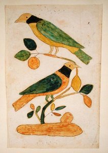 Deux oiseaux