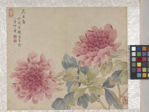 Album de 8 feuilles de fleurs, milieu des années 1700 - School Chinese