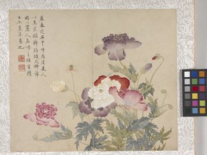 Album de 8 feuilles de fleurs, milieu des années 1700 - School Chinese