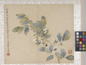 Album de 8 feuilles de fleurs, milieu des années 1700 - School Chinese