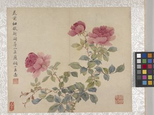 Album de 8 feuilles de fleurs, milieu des années 1700 - School Chinese