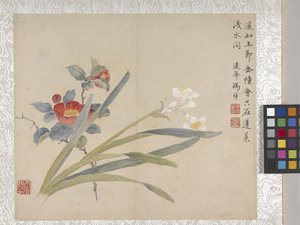 Album de 8 feuilles de fleurs, milieu des années 1700 - School Chinese