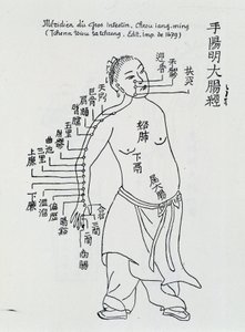 Acupuncture chinoise : le gros intestin