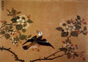 Art chinois: oiseau et fleurs. Peinture sur soie du 16ème siècle. Paris, B.N.