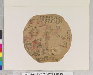 Fleurs et papillon - School Chinese