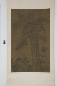 Vieux arbres sous la lune - School Chinese